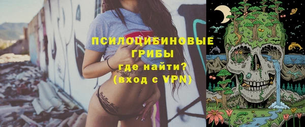мяу мяу мука Алзамай