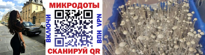 продажа наркотиков  Ижевск  Псилоцибиновые грибы ЛСД 